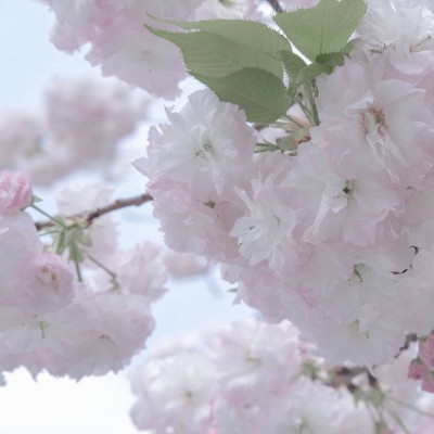 蒸湘FurryQQ群介绍